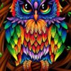 Coruja Colorida