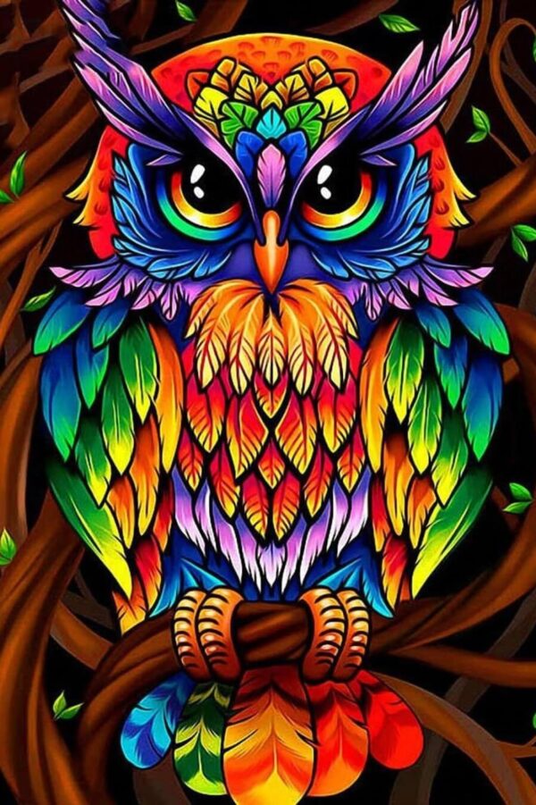 14762867524_2 Coruja Colorida