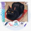 Gato Preto Pãozinho - Kit Pintura com Cristais