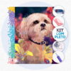 64 40x30cm - Shih Tzu - Kit Pintura Diamante