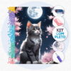 Gato da Meia Noite - Kit Pintura com Cristais