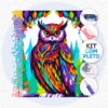 Coruja Colorida - Kit Pintura com Cristais