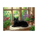 Gato na Janela - Kit Pintura com Cristais