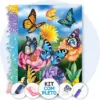 Borboletas entre Flores - Kit Pintura com Cristais