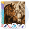 40x50cm - Cavalos Encontro - Kit Pintura com Cristais