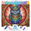 50x40cm - Coruja Vitral - Kit Pintura com Cristais