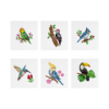 Pássaros 1 - Kit Mini Pintura com Cristais