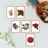 Flores 2 - Kit Mini Pintura com Cristais
