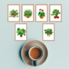 Plantas de Casa 1 - Kit Mini Pintura com Cristais