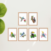 Pássaros 1 - Kit Mini Pintura com Cristais