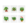 Plantas de Casa 1 - Kit Mini Pintura com Cristais