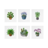 Plantas de Casa 2 - Kit Mini Pintura com Cristais