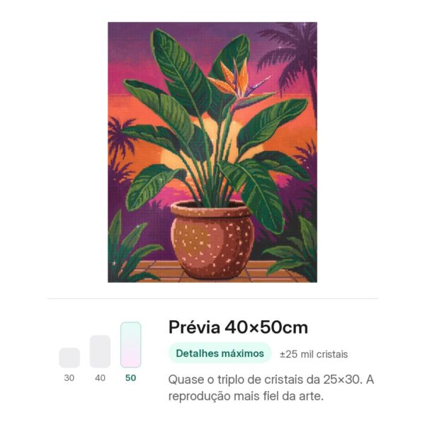 Estrelícia (Ave-do-paraiso) em Vaso